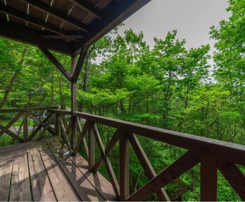 Ruthin - Houses for Sale in Nasu, Nasu-gun (6)