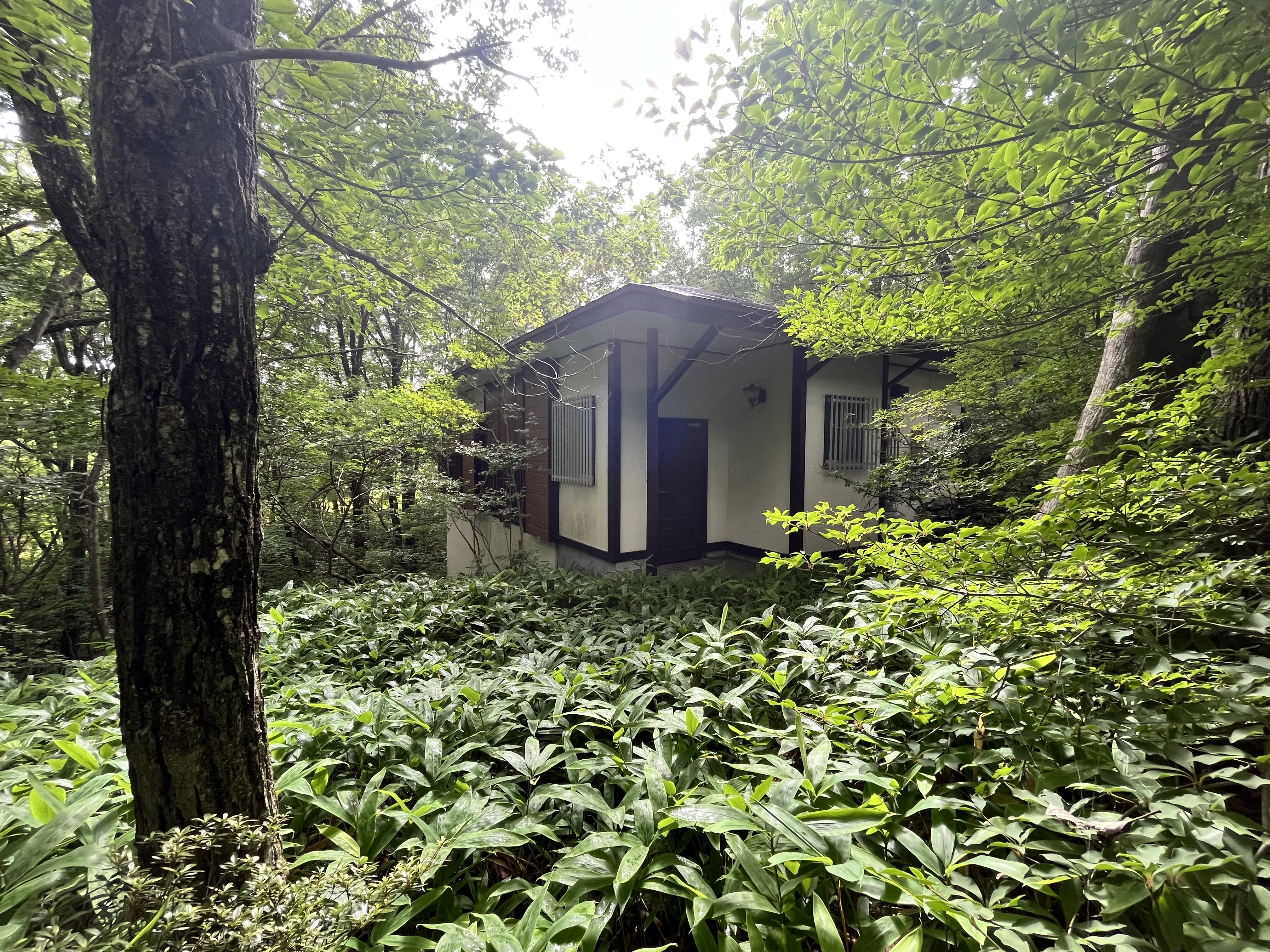 Property Photo 15