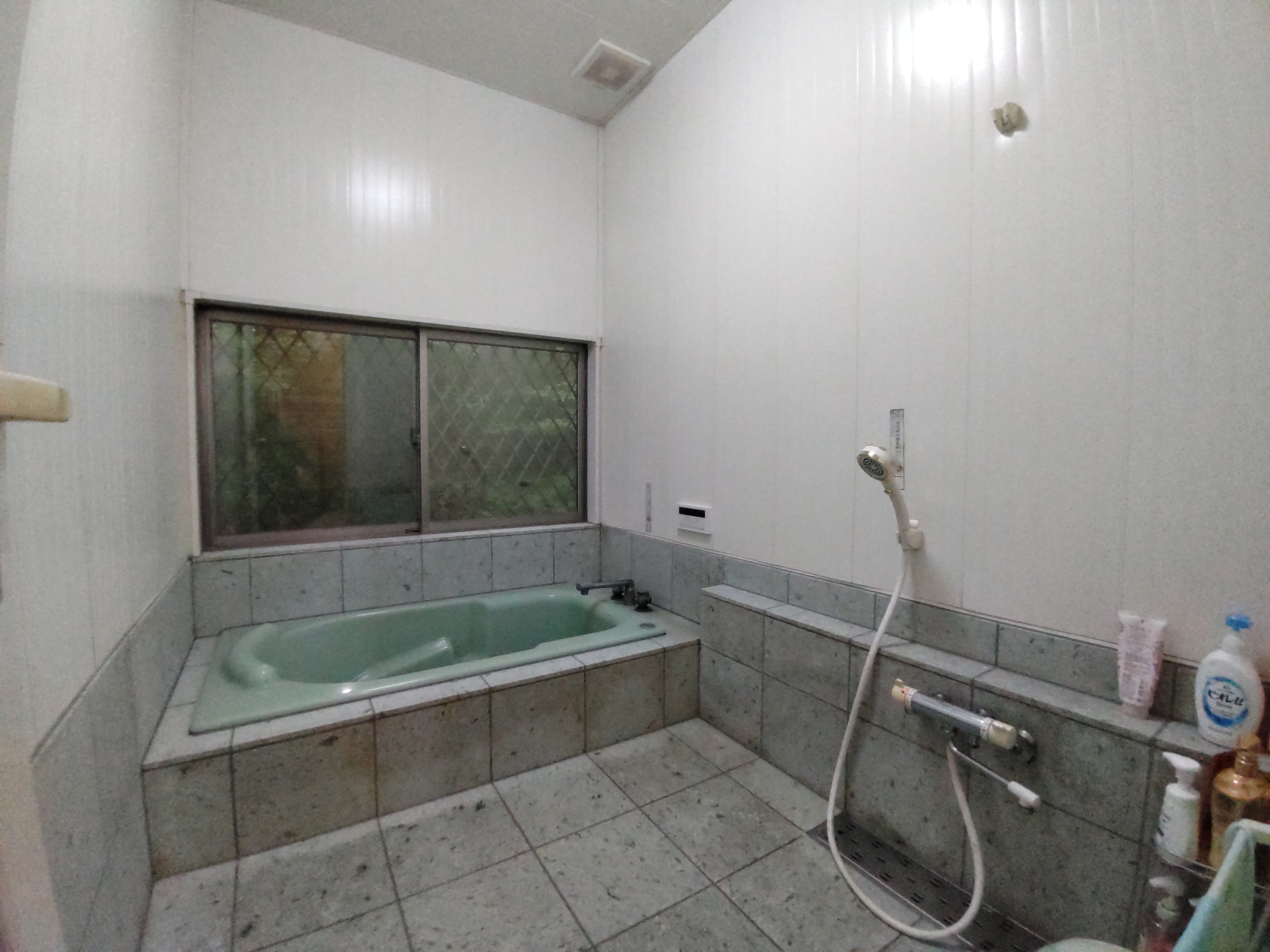 Kalmia - Houses for Sale in Nasu, Nasu-gun (10)
