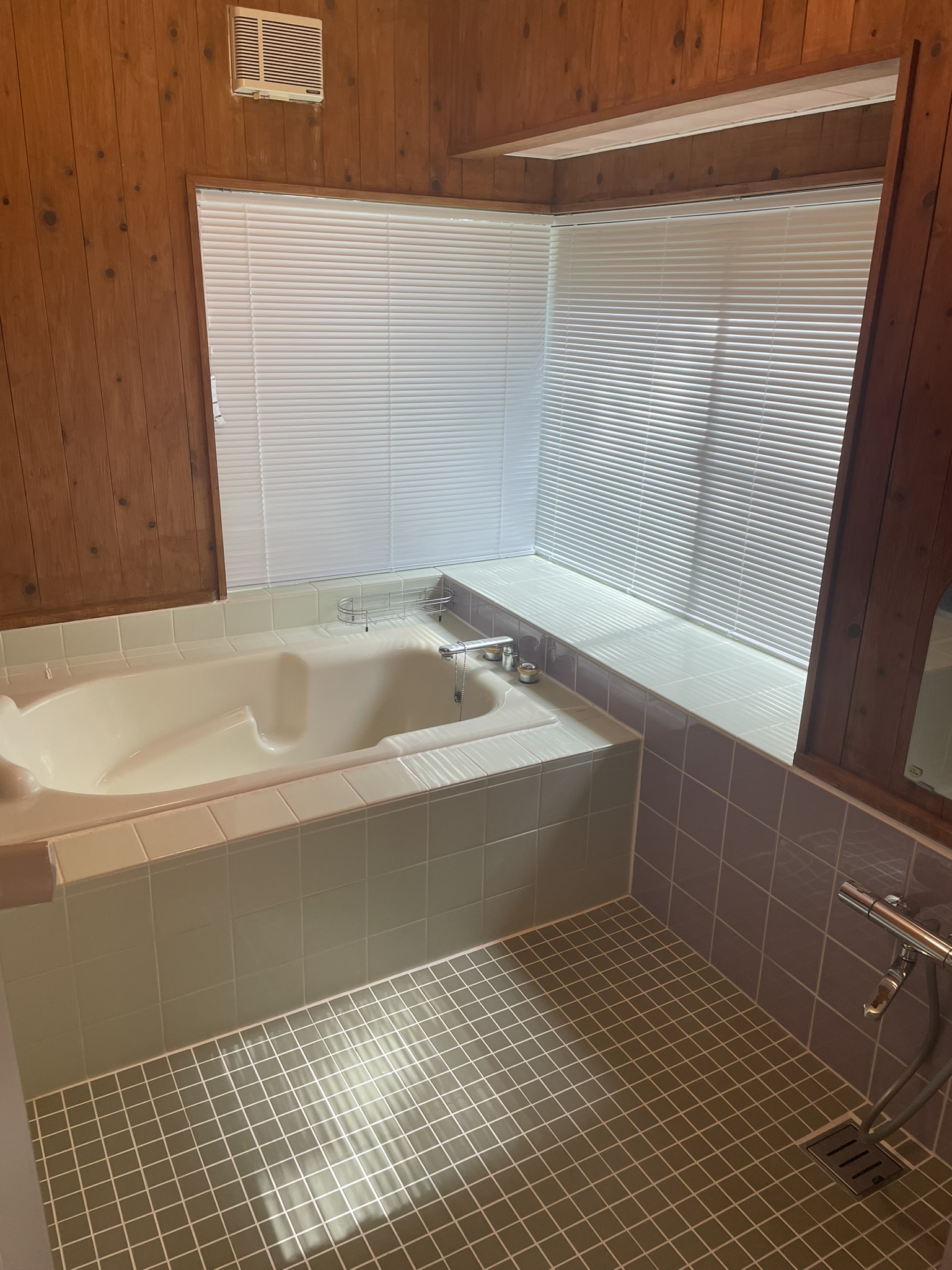 Mookite - Houses for Sale in Nasu, Nasu-gun (16)