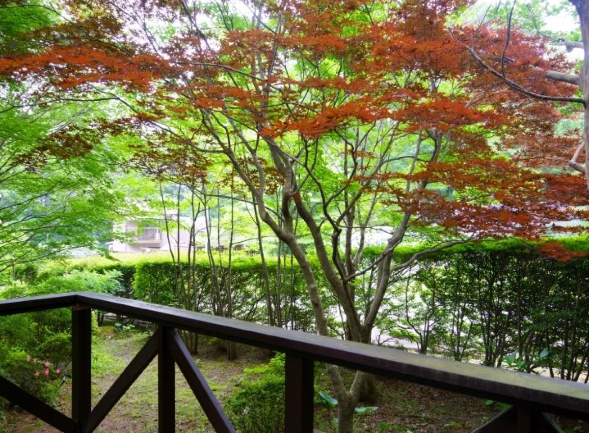 Property Photo 18
