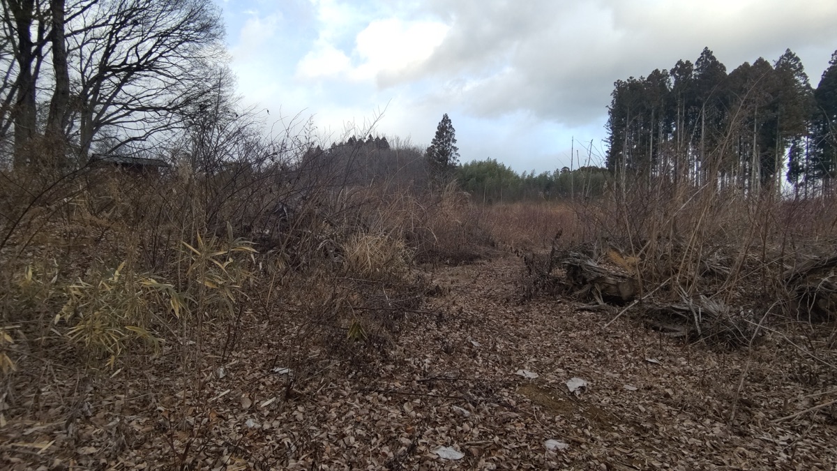 Property Photo 16