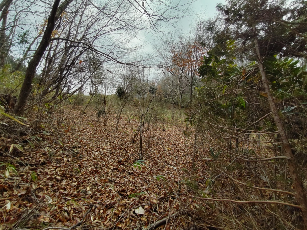 Property Photo 19