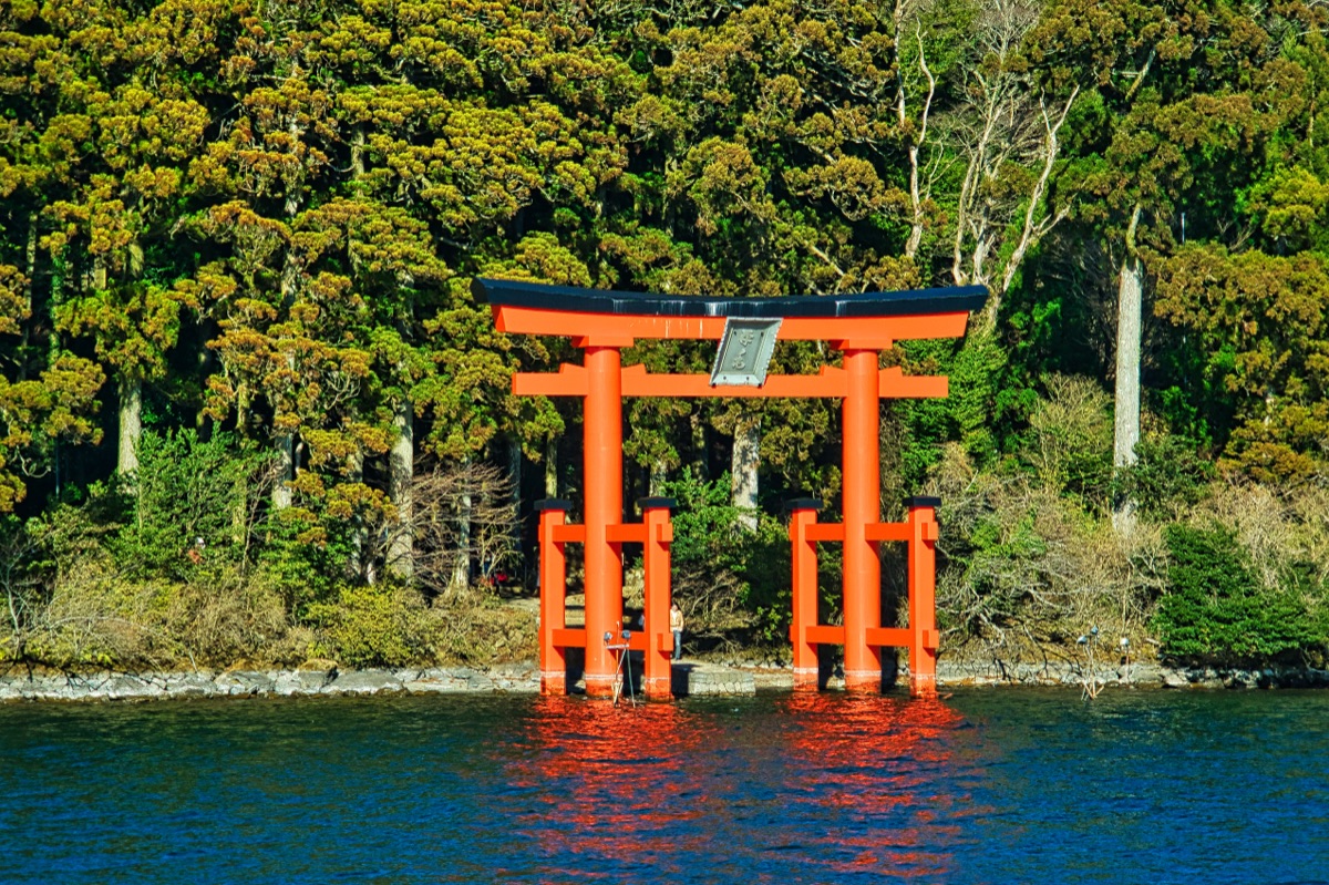 Hakone Investment Property: Onsen Villas and Rental Demand